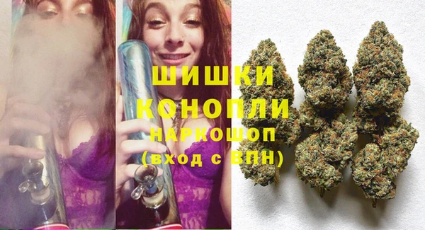 гидра Аркадак