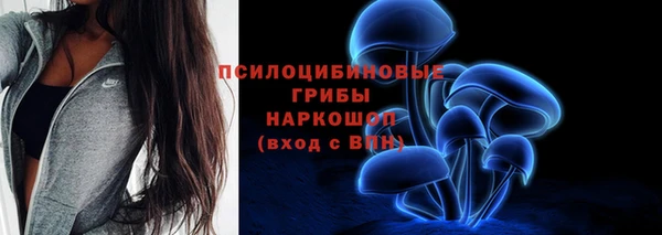 гидра Аркадак