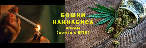 гидра Аркадак